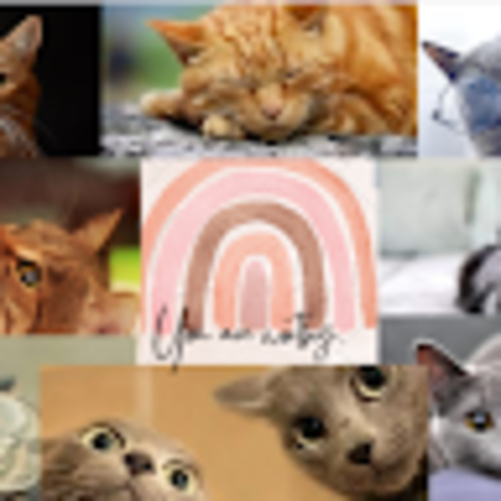 Meet your Posher, Jesselyn